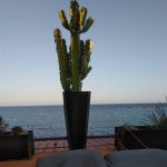 Michele Alberotanza image